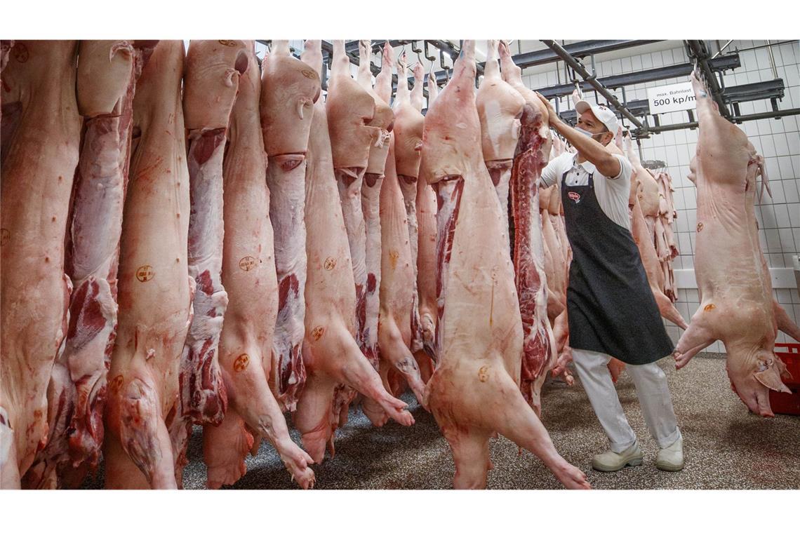 Mehr Schweine- und Rinderfleisch im Südwesten erzeugt In Baden-Württemberg sind zuletzt wieder mehr Tiere geschlachtet worden. (Symbolbild)