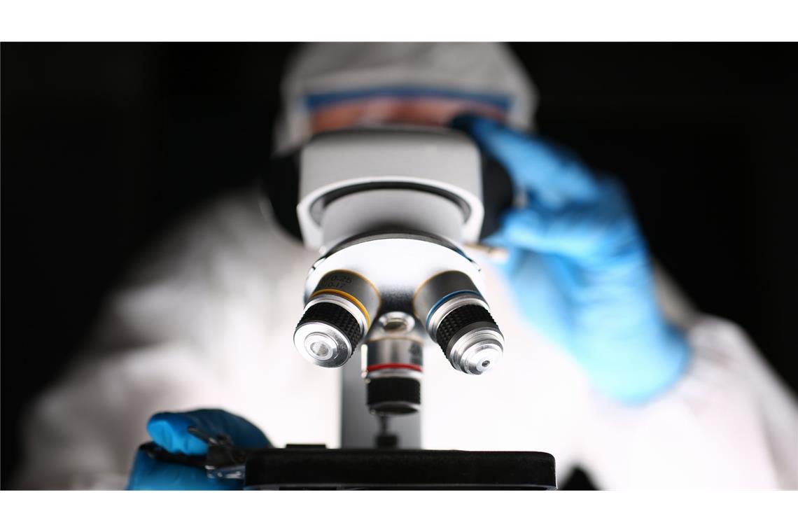 Diese Studien könnten 2025 die Medizin prägen In dem Wissenschaftsjournal „Nature Medicine“ geben Experten Einblick in ihre Forschung, die in den kommenden zwölf Monaten neue Wege in der Medizin öffnen könnte.