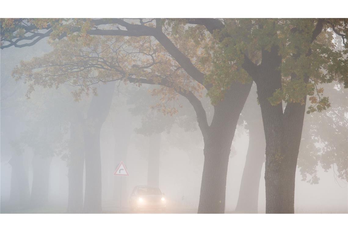 Mix aus Nebel, Sonne, Regen - keine Wetteränderung in Sicht In den allermeisten Ecken Deutschlands bleibt es auch in den kommenden Tagen weitgehend trüb, etwas Hoffnung auf Sonne gibt es für den Südwesten.