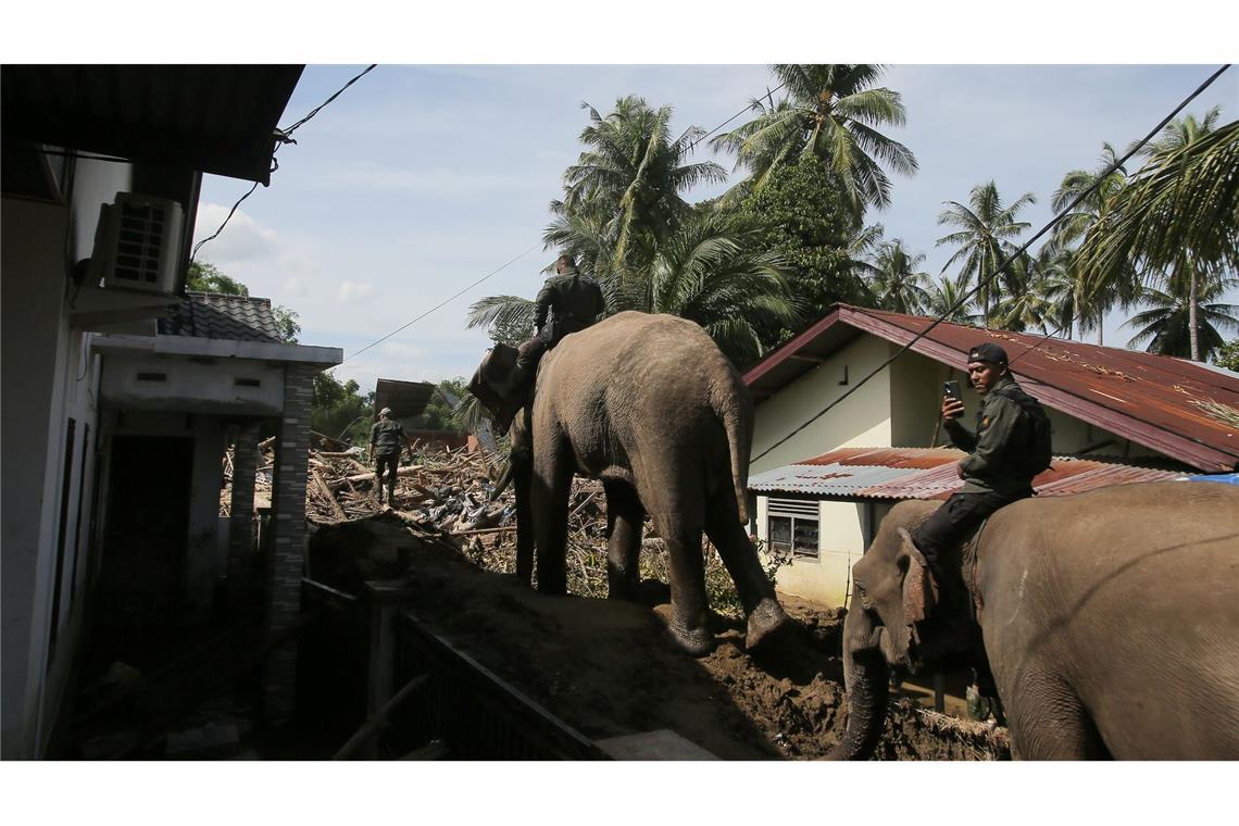 In den betroffenen Gebieten im Norden Sumatras gibt es stellenweise nur für Elefanten ein Durchkommen.