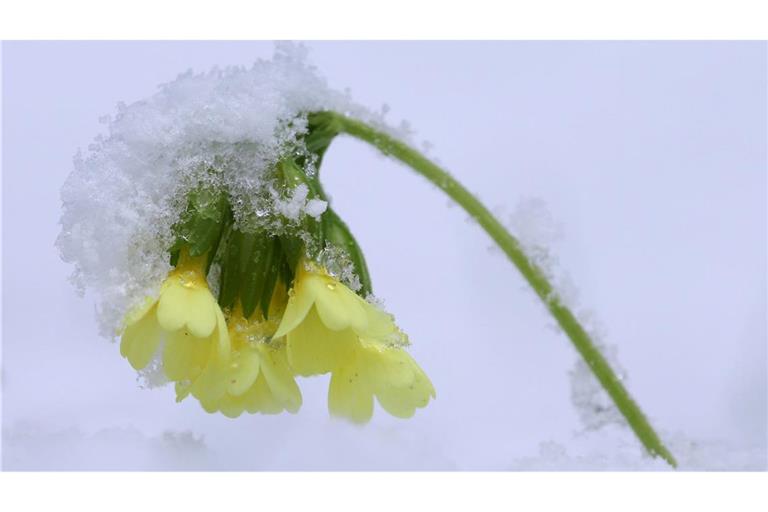 In den höheren Lagen ist weiterhin mit Schneefall zu rechnen. (Symbolbild)