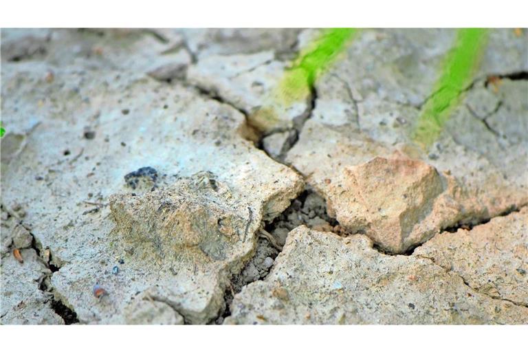 In den Klimaanpassungskonzepten müssen Landkreise auch Wege für den Umgang mit Trockenheit finden.