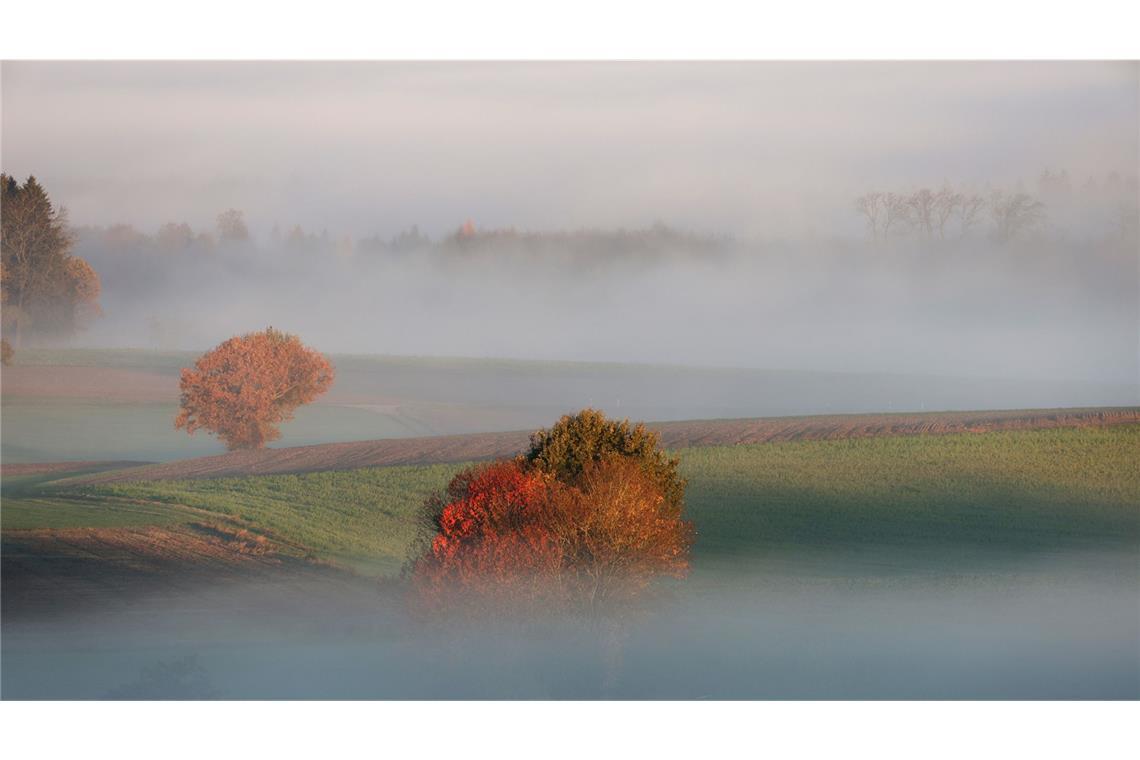 In den kommenden Tagen legt sich Nebel über den Südwesten.