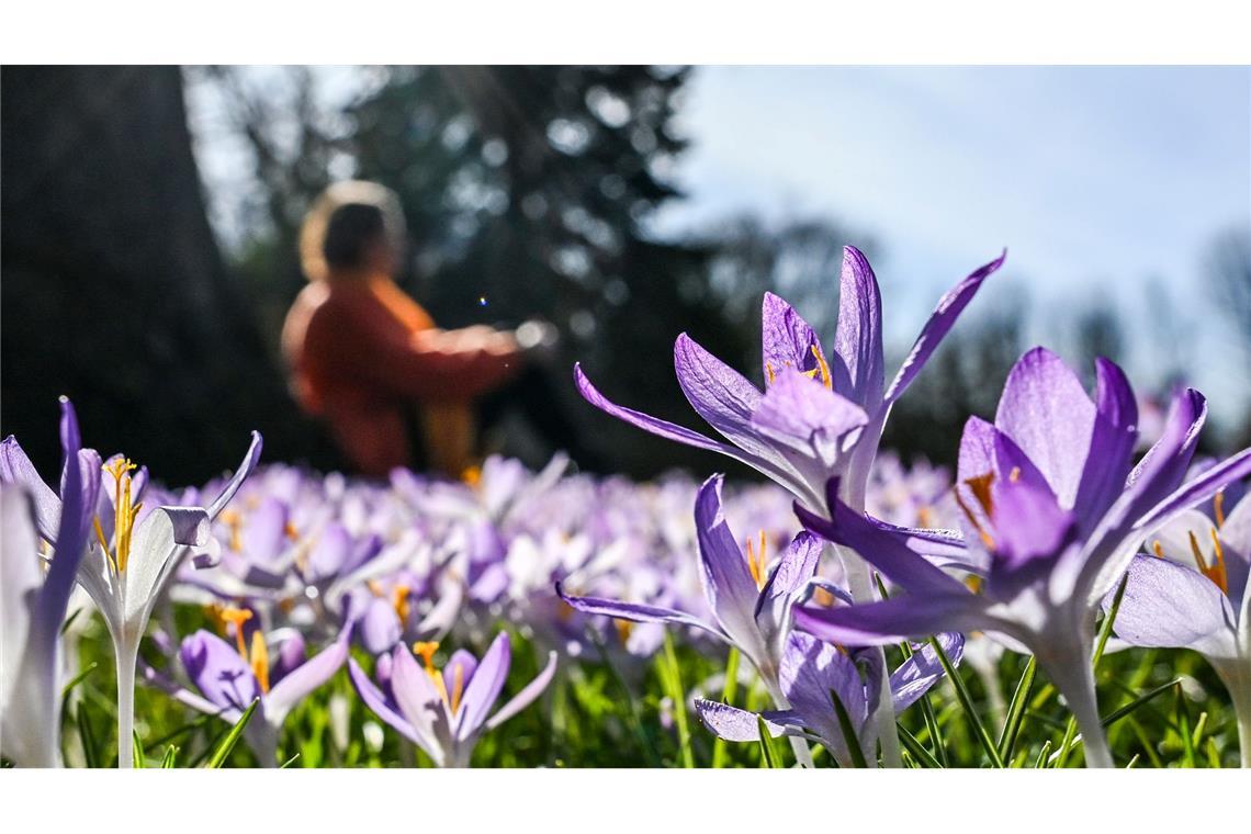 Frühlingswetter: UV-Schutz essenziell für Krebsprävention In den kommenden Tagen soll es in Deutschland bis zu 20 Grad werden.