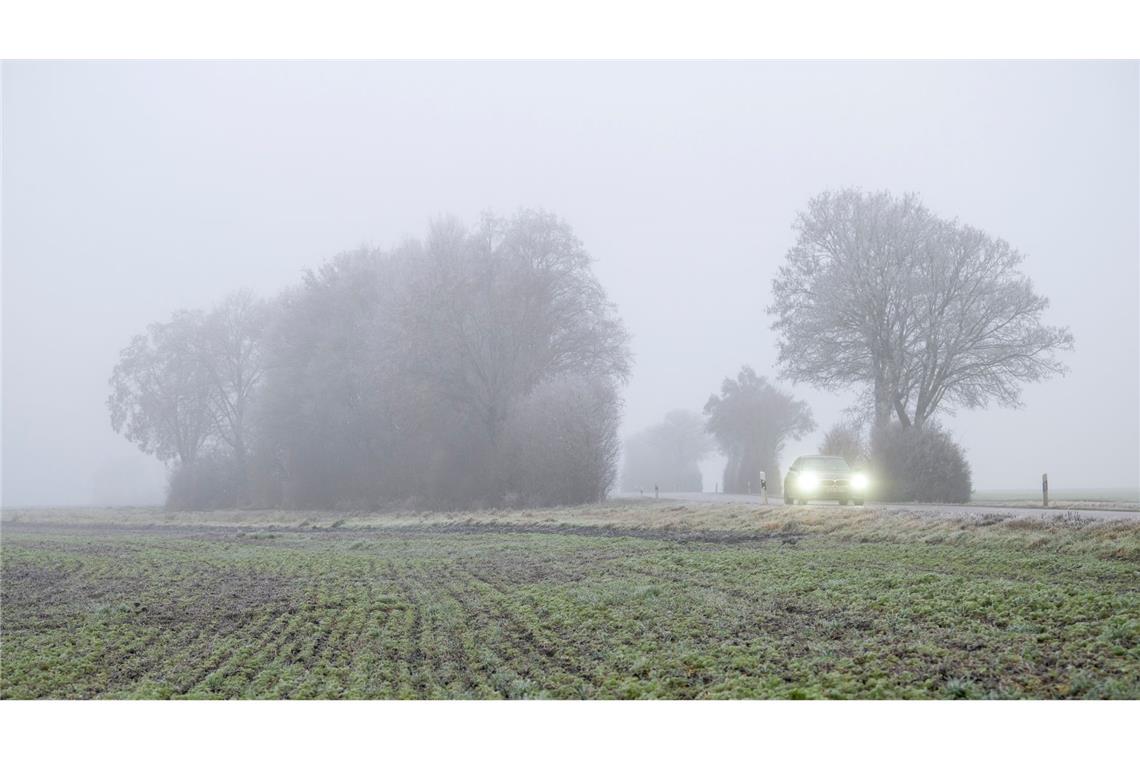 In den meisten Landesteilen wird es voraussichtlich keine weiße Weihnachten geben.