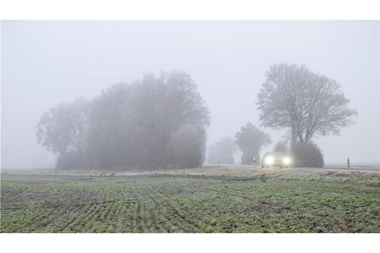 In den meisten Landesteilen wird es voraussichtlich keine weiße Weihnachten geben.