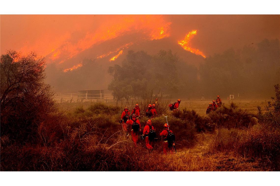 Waldbrand in Kalifornien zerstört zahlreiche Häuser In der betroffenen Region gilt der Notstand.