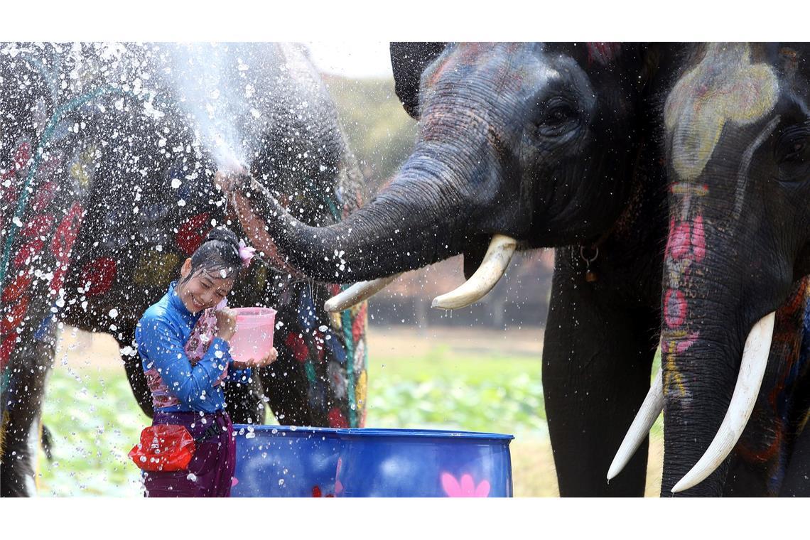 In der ehemaligen Hauptstadt Ayutthaya spritzen auch Elefanten munter mit.
