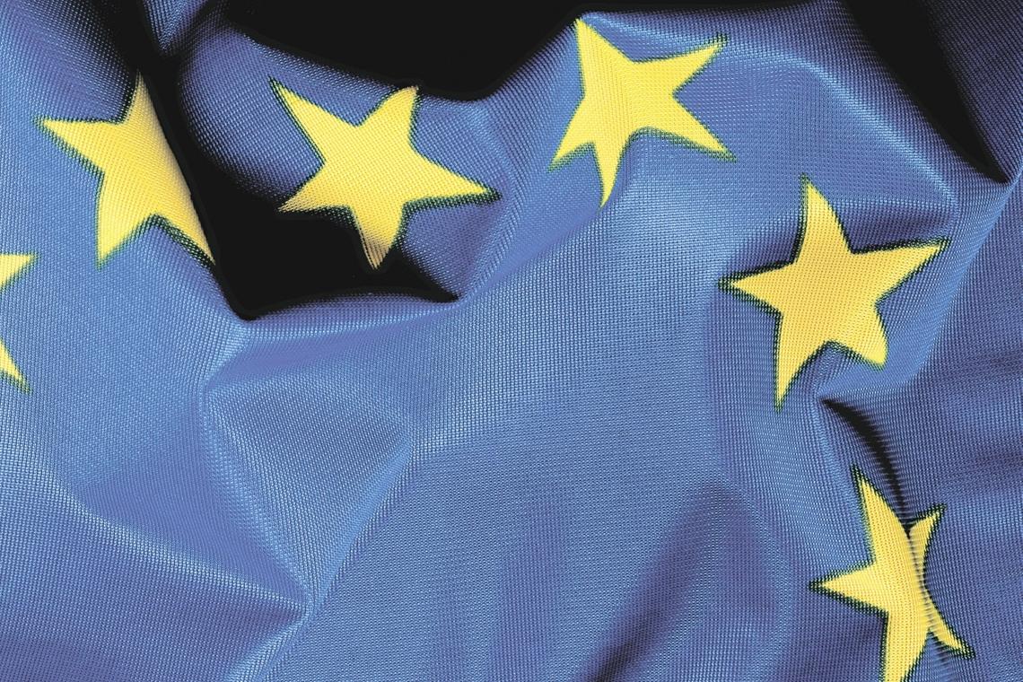 Murrhardter Schüler holen sich 27 Ortspreise In der Europawoche des Ministeriums hat sich Murrhardt mit Beiträgen rund um seine Partnerstädte beteiligt. Foto: MZ-Archiv