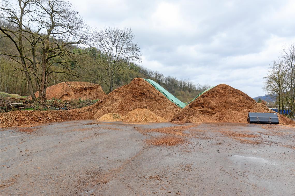 In der Froschgrube lagern Holzhackschnitzel für die Murrhardter Heizwerke. Die Stadtwerke suchen nun nach einer Ersatzfläche, um dort mehr Potenzial für eine Freiflächen-PV-Anlage zu schaffen. Archivfoto: Stefan Bossow