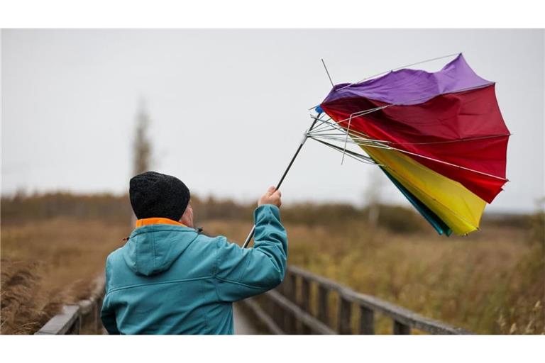 In der kommenden Woche soll das Wetter laut Experten freundlicher werden. (Archivbild)