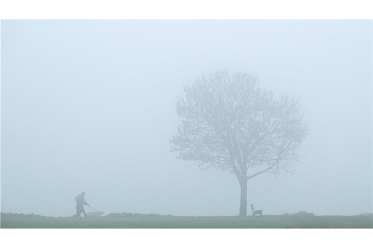 In der Nacht zum Dienstag rechnen DWD-Meteorologen an Rhein, Donau und Bodensee erneut mit viel Nebel oder Hochnebel. (Symbolbild)