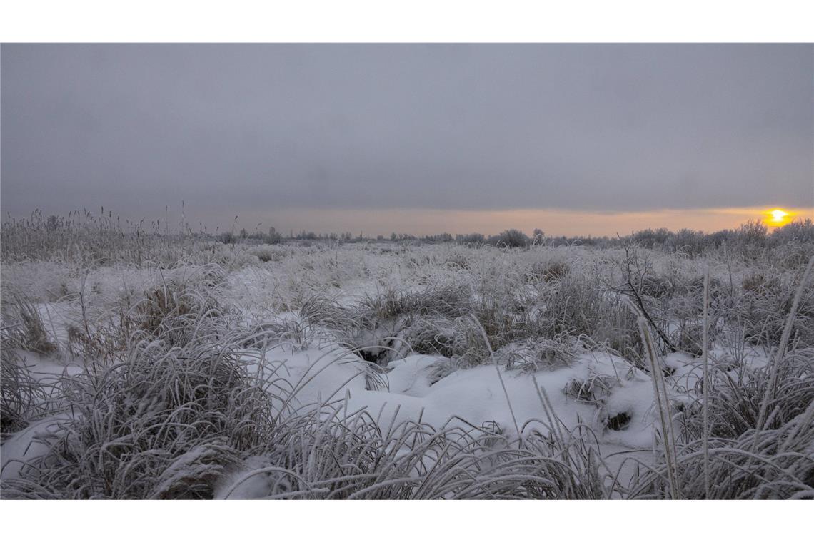 Winter bleibt hartnäckig: Frost, Schnee und Glätte erwartet