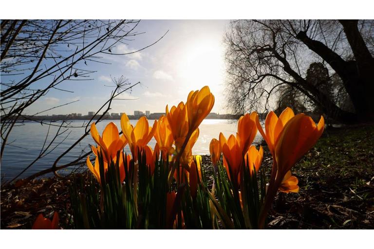 In der nächsten Woche wird es wieder wärmer und sonniger.