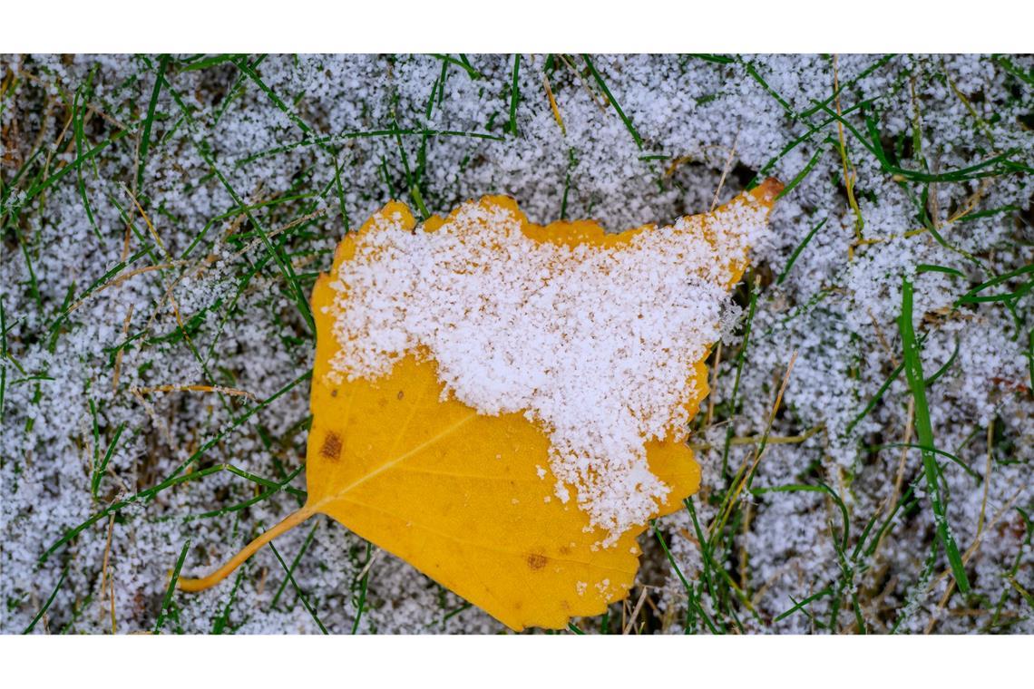 Regen und Schnee in der neuen Woche in Deutschland In der neuen Woche wird das Wetter winterlicher in Deutschland. (Archivbild)