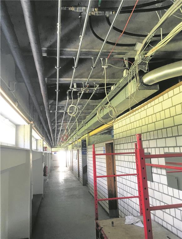 Sanierung der Schulen In der Trauzenbachhalle werden die Umkleidekabinen und Sanitärräume renoviert.
