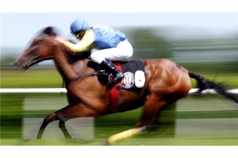 In der Türkei wurde ein ehemaliges Rennpferd in einer Suppenküche verarbeitet (Symbolbild).