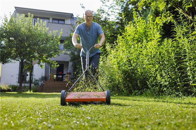 In der Übergangszeit bis zum Winter lohnt es sich, die Fläche wieder in Schuss zu bringen. So ist der grüne Teppich im Garten für die kalten Tage gestärkt und kommt im Frühling schnell wieder zu Kräften.(Symbolbild)