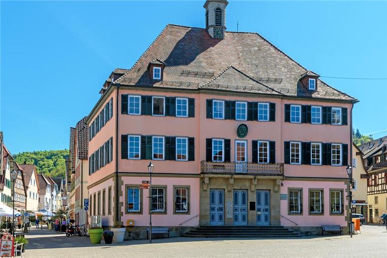 In der vergangenen Gemeinderatssitzung wurde der erste Energiebericht vorgestellt. Archivfoto: Stefan Bossow