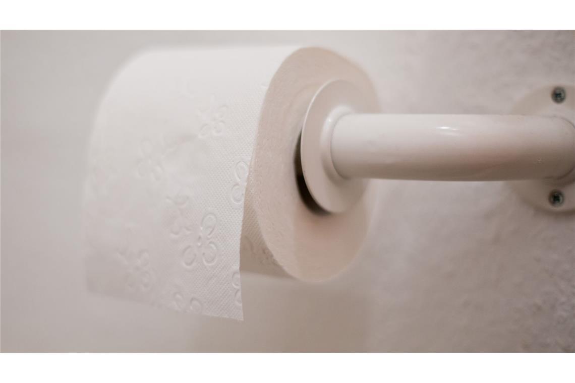 Wasser oder Wischen: Was der Po wirklich braucht In Deutschland ist die Intimreinigung mit Toilettenpapier die Regel, 134 Rollen pro Jahr soll der durchschnittliche Bundesbürger verbrauchen. (Illustration)