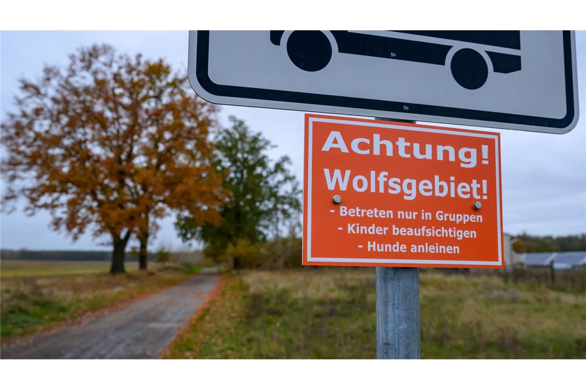 209 Wolfsrudel leben in Deutschland In Deutschland sind 209 Wolfsrudel nachgewiesen. (Archivbild)