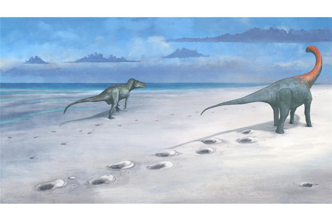 Dinosaurier-Fußspuren in Schule entdeckt In einer australischen Schule wurden Dinosaurier-Fußspuren entdeckt. (Symbolbild)