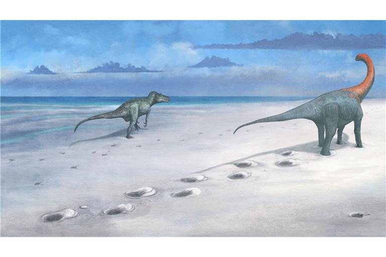 In einer australischen Schule wurden Dinosaurier-Fußspuren entdeckt. (Symbolbild)