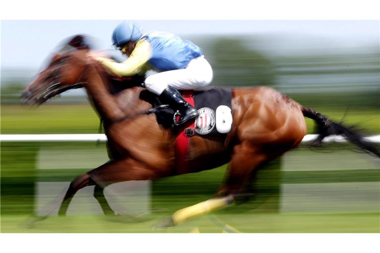 In einer Suppenküche findet ein Gast in seinem Essen den Mikrochip eines ehemaligen Rennpferdes. (Symbolfoto)