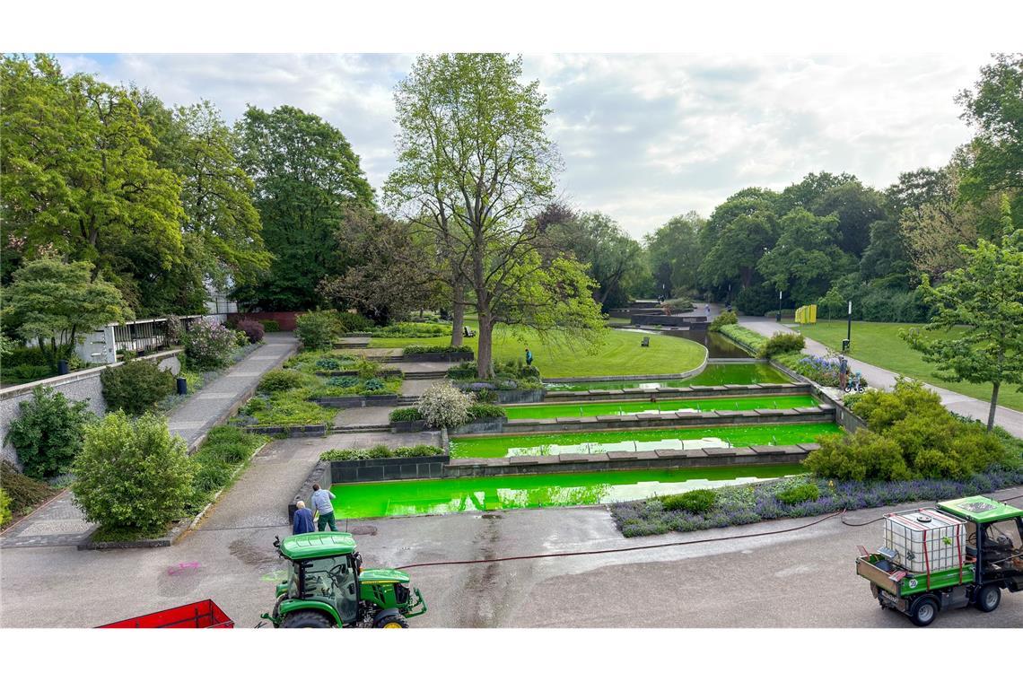 In Hamburg war unter anderem das Wasser von Springbrunnen des Parks Planten un Blomen mit grüner Farbe gefärbt.