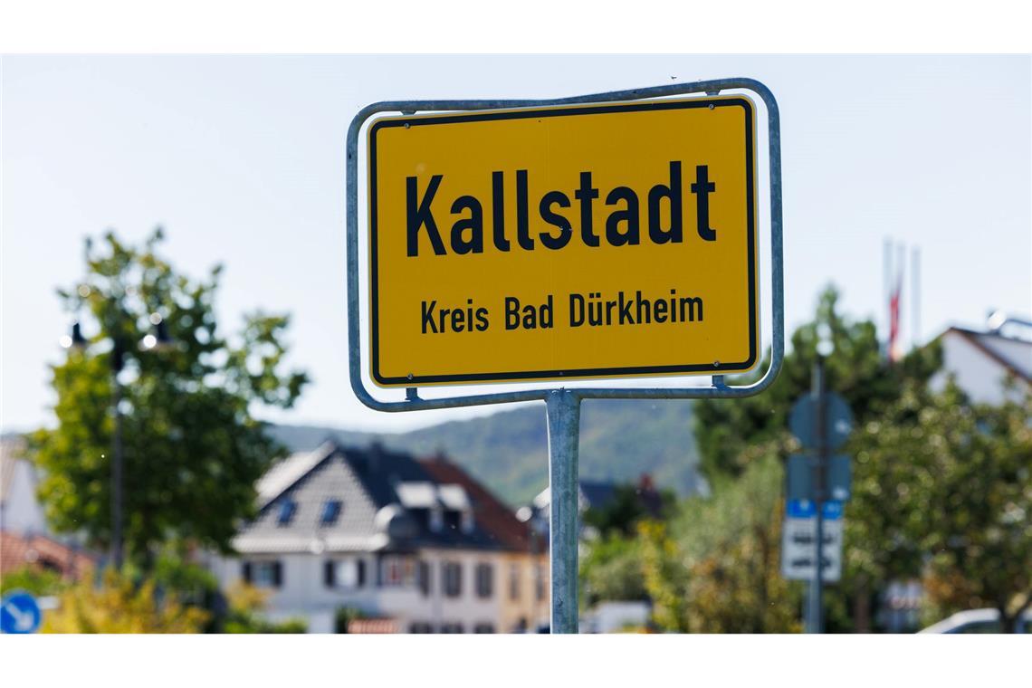 Keine Ehrenbürgerschaft für Trump in Rheinland-Pfalz In Kallstadt wuchs Trumps Großvater Friedrich auf, bevor er 1885 in die USA auswanderte. (Archivbild)