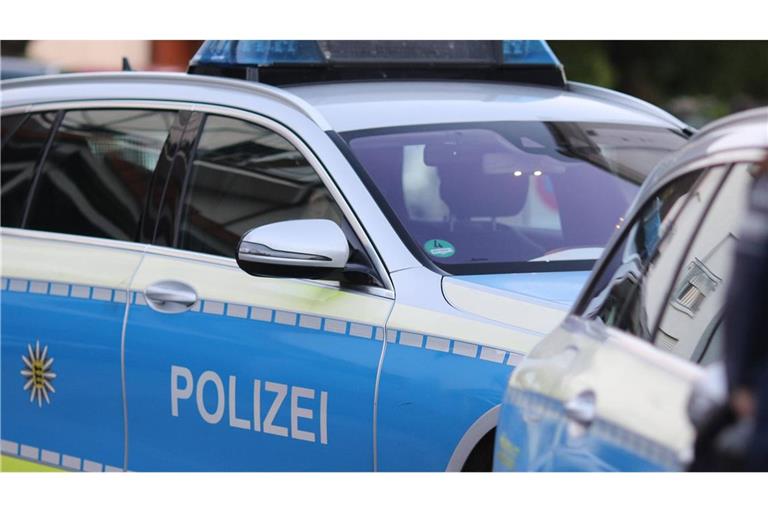 In Kehl hat ein Mann versucht, den Kofferraum eines Streifenwagens zu öffnen (Symbolfoto).
