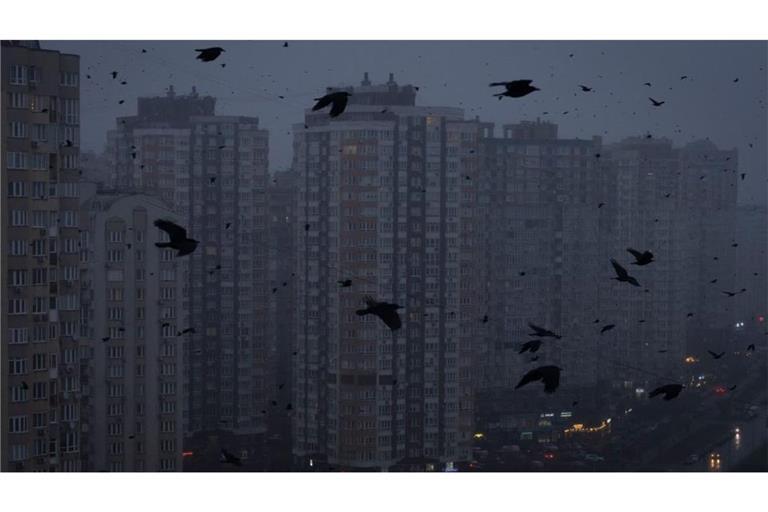 In Kiew fliegen während eines Stromausfalls Krähen durch die Stadt.