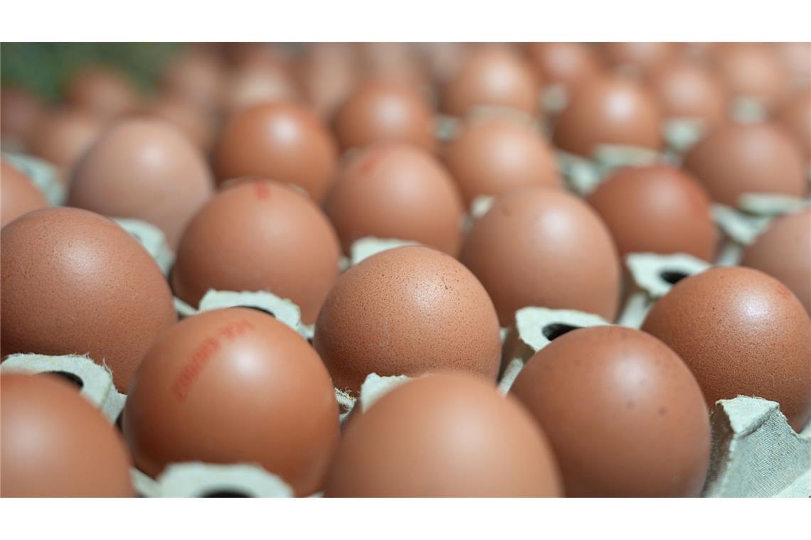 In manchen Lebensmittelläden sind sie gerade Mangelware: Eier. (Symbolbild)