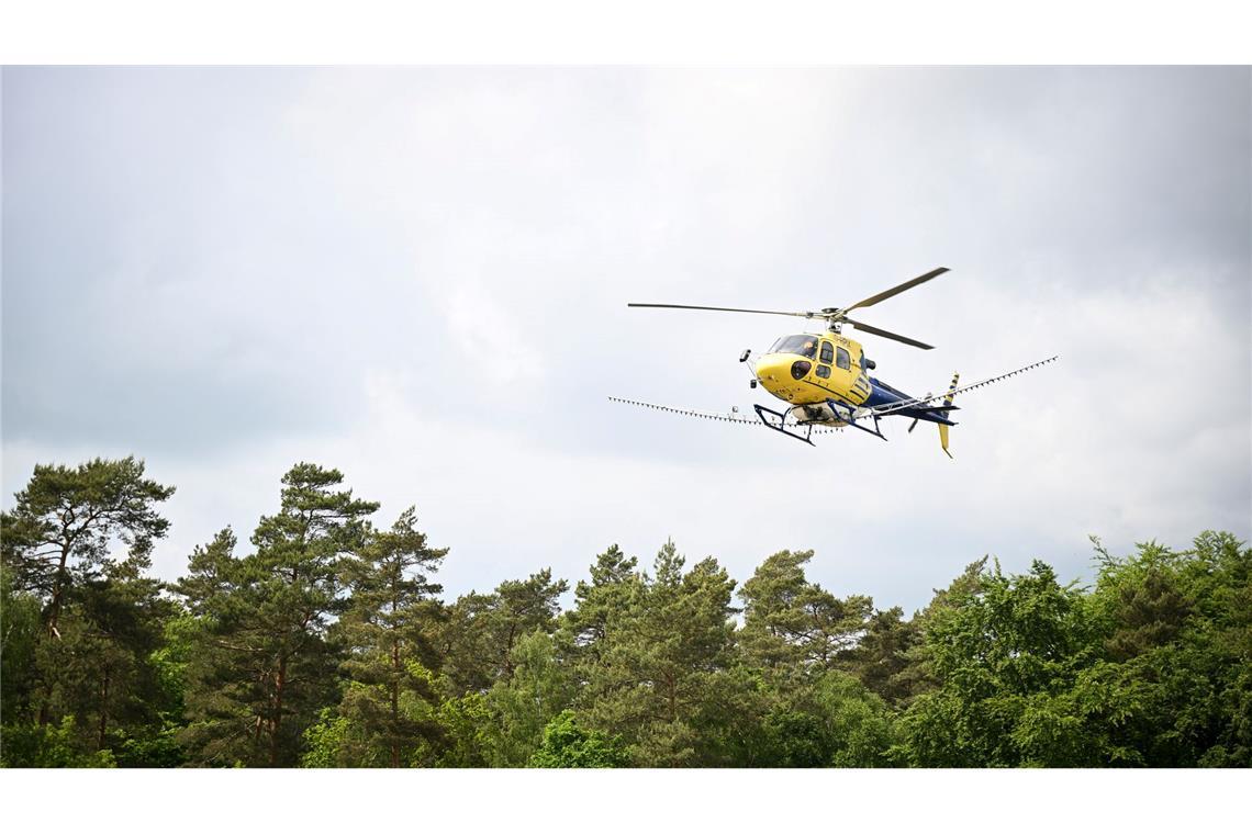 In Mecklenburg-Vorpommern, Sachsen-Anhalt und Brandenburg wurde vom Hubschrauber aus bakterienbasiertes Insektizid versprüht.