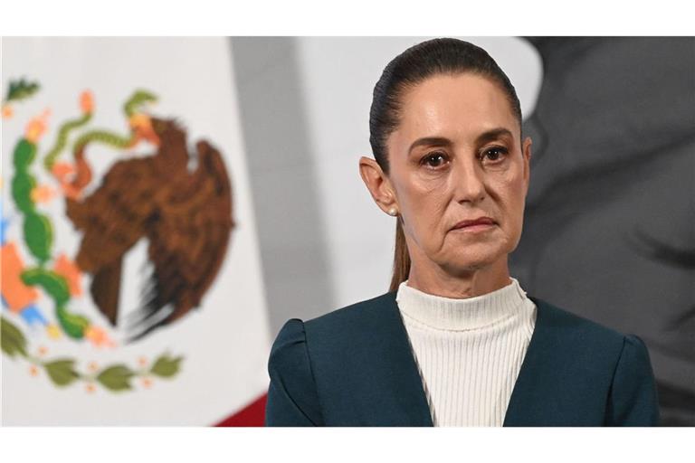In Mexiko ist ein Mann wegen der mutmaßlichen sexuellen Belästigung der mexikanischen Präsidentin Claudia Sheinbaum festgenommen worden (Archivfoto).