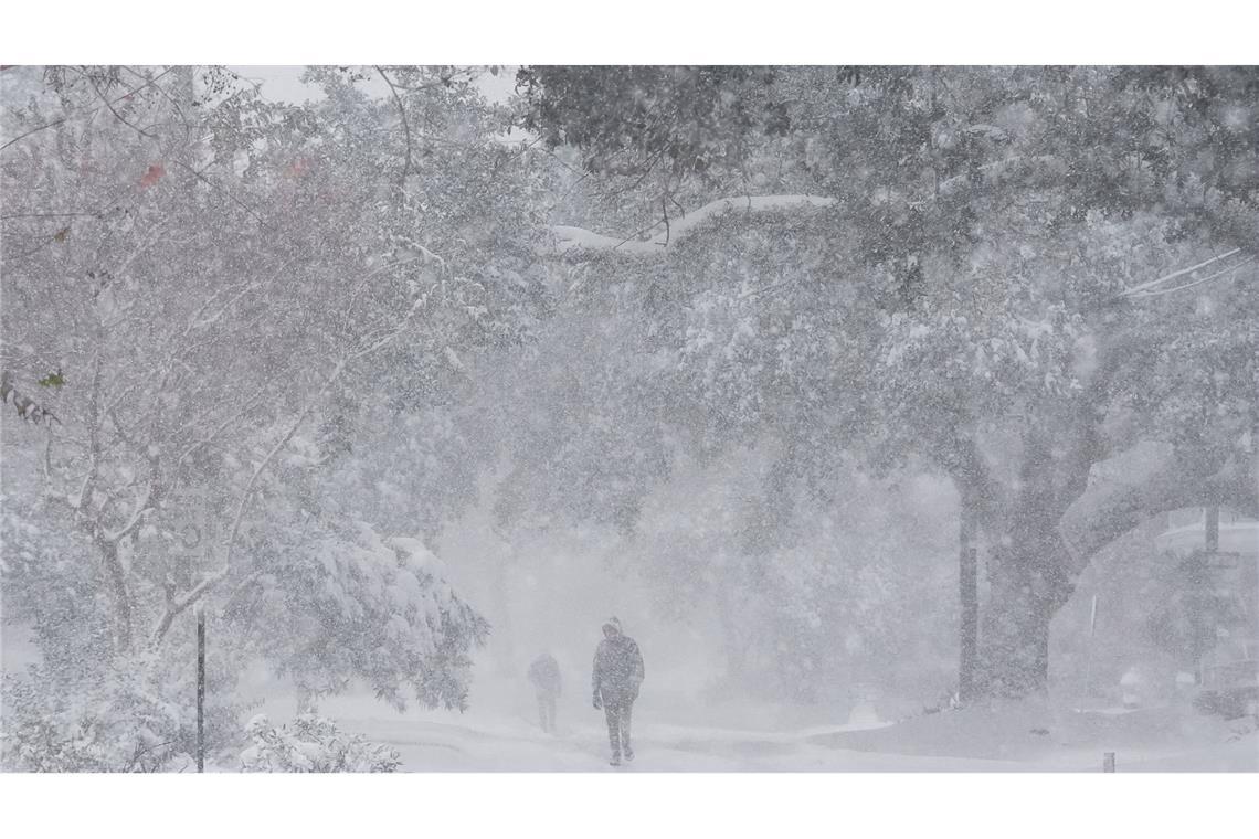 Schnee in Florida - Kältetote in Texas In New Orleans fielen mehr als 20 Zentimeter Schnee.