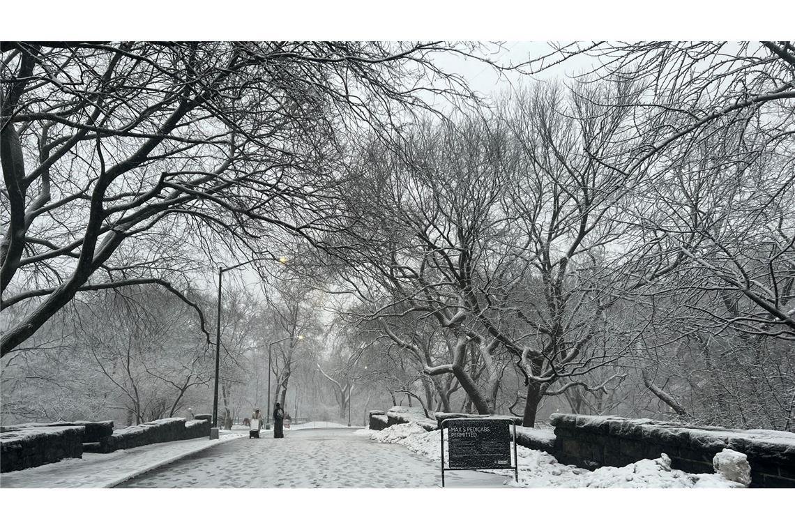 In New York legt der viele Schnee das öffentliche Leben lahm.