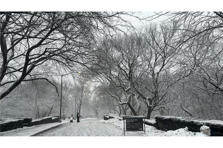In New York legt der viele Schnee das öffentliche Leben lahm.