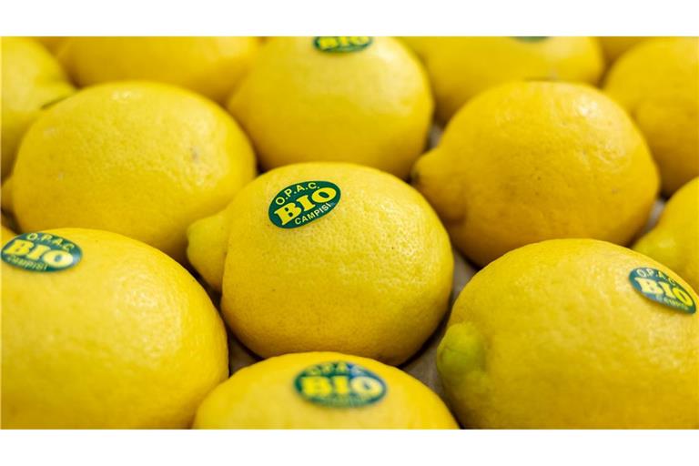 In Nürnberg eröffnet die weltweit größte Messe der Biobranche. Produkte aus nachhaltigem Anbau boomen. (Archivbild)