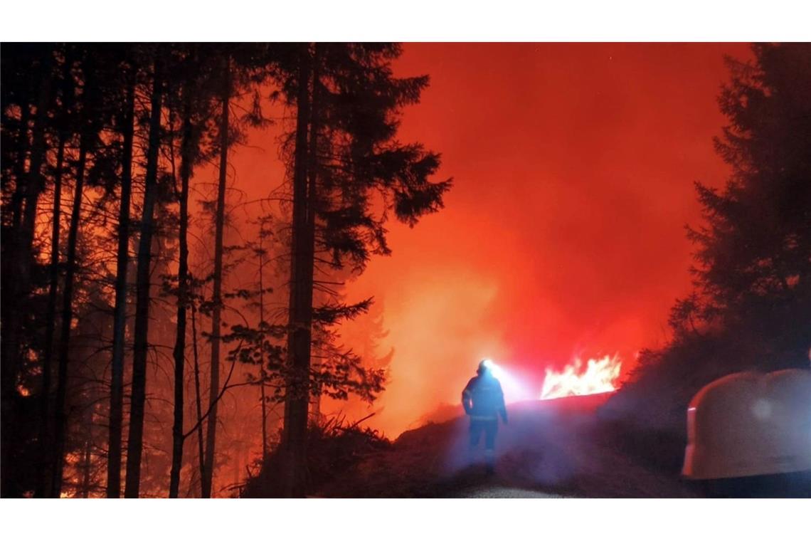 In Österreich steht eine Fläche von 110 Hektar in Flammen.