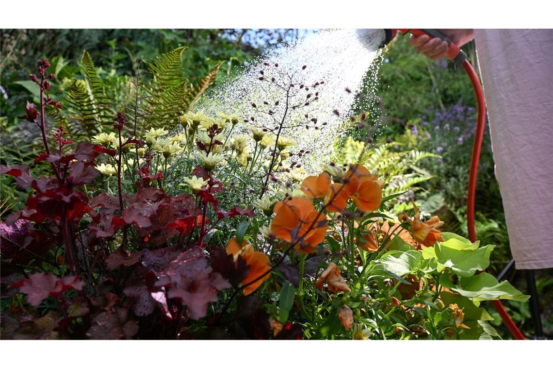 In Stuttgart gießt eine Frau in einem privaten Garten in den Morgenstunden Blumen.