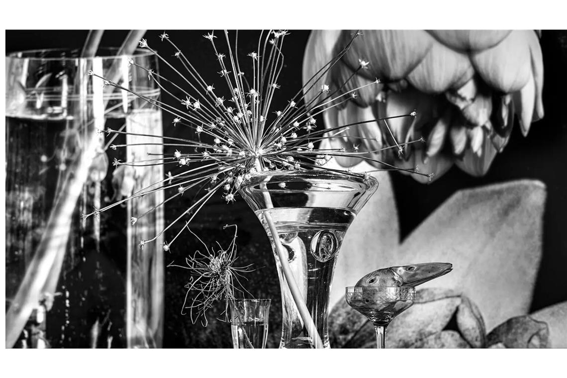 In Stuttgart in der Leica-Galerie zu sehen: Stillleben von Vera Mercer