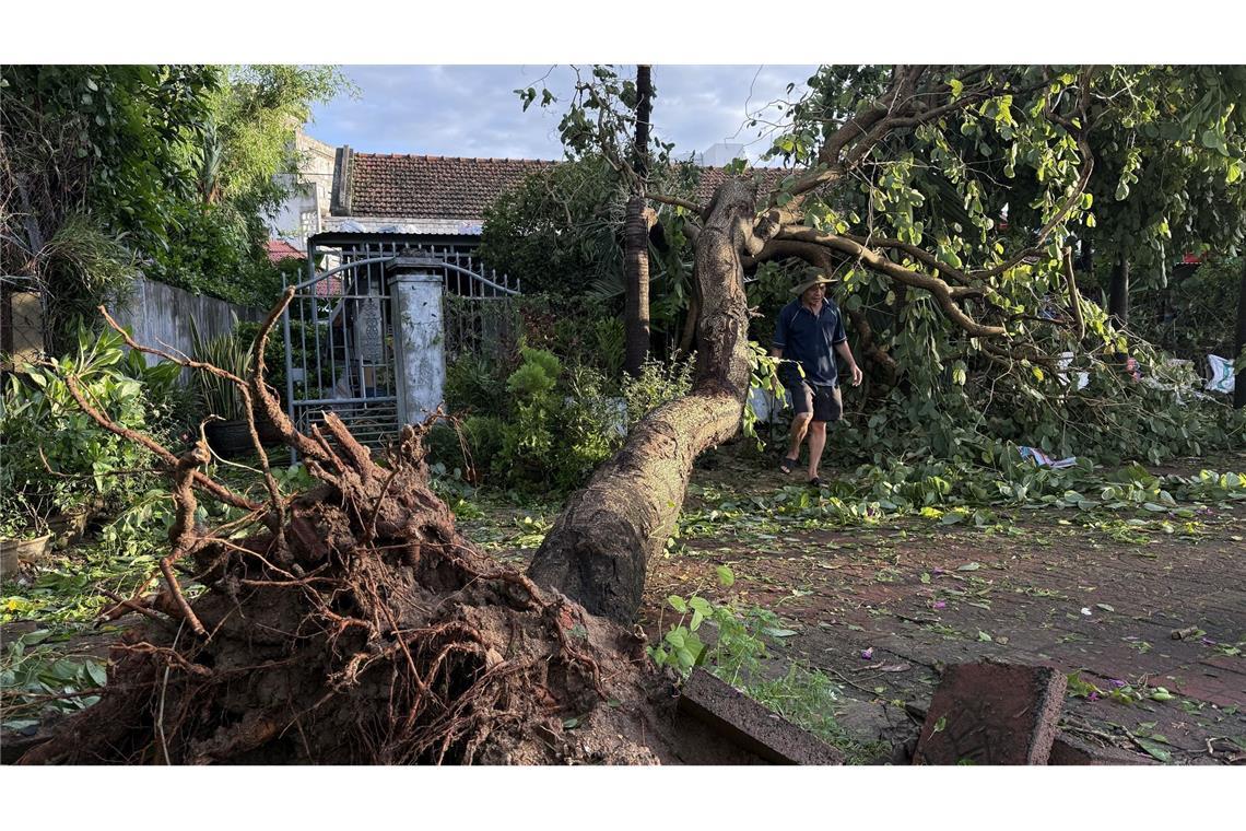 In Vietnam wurden Bäume entwurzelt und Tausende Häuser beschädugt.