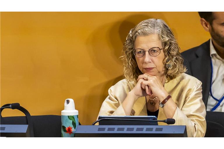Inger Andersen, Exekutivdirektorin des UN-Umweltprogramms, stellte den globalen Umweltausblick vor. (Archivbild)