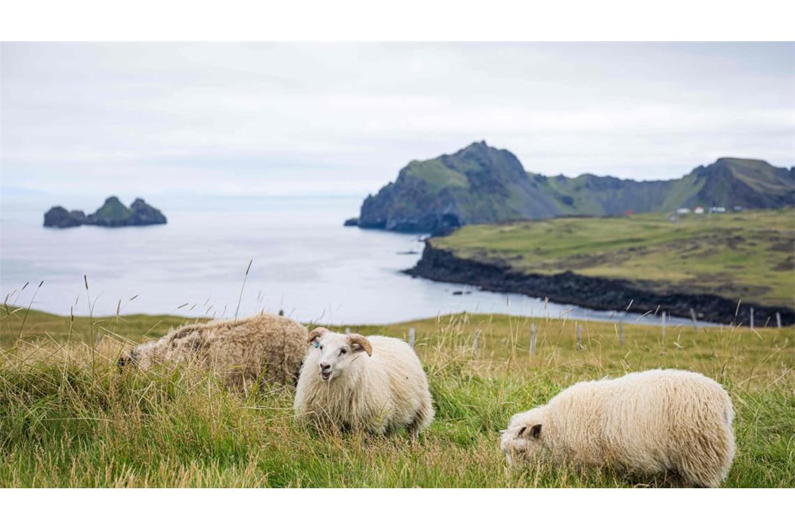 Island, bekannt für seine schöne Landschaft, stimmt am Samstag darüber ab, ob die EU-Beitrittsgespräche wieder aufgenommen werden sollen.