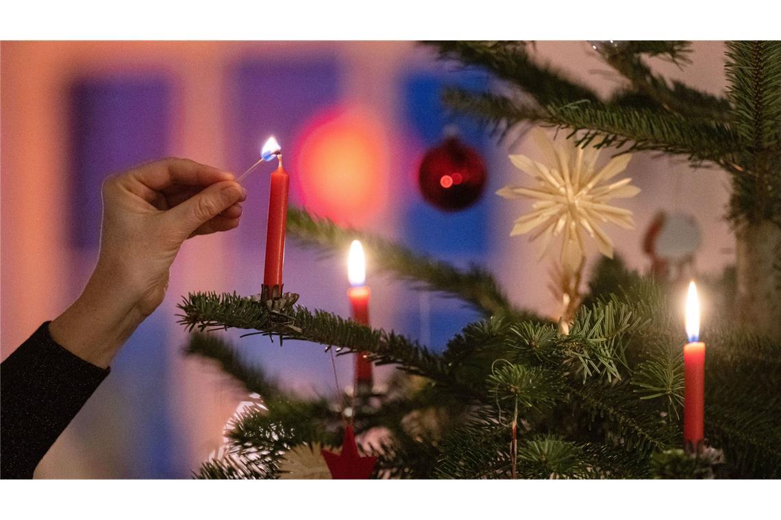 Weniger Weihnachtsbäume im Südwesten importiert Jährlich werden in Baden-Württemberg rund 2,5 Millionen Weihnachtsbäume verkauft.