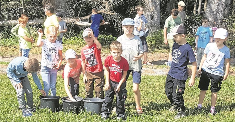 Jede Menge zu tun: Die Kinder haben zusammen die Murr erkundet, waren aber auch an Spielstationen – wie hier beim Tannenzapfen-Zielwurf – aktiv. Foto: privat