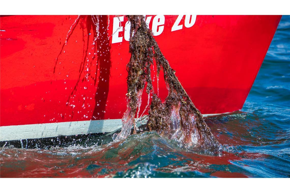 Mit Künstlicher Intelligenz besser nach Geisternetzen suchen Jedes Jahr landet eine unbekannte Menge an Fischernetzen im Meer. Mit Künstlicher Intelligenz sollen sie besser aufgespürt werden. (Archivbild)