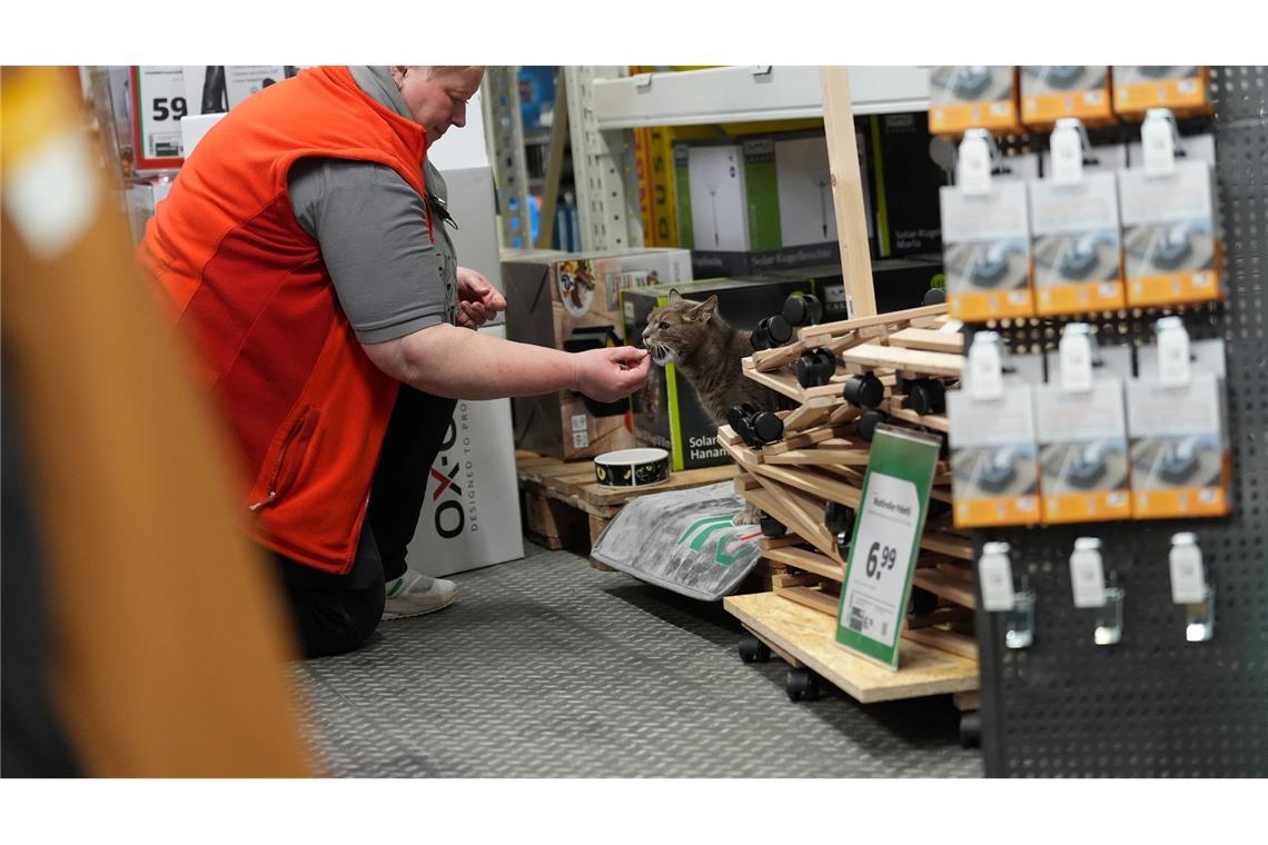 Jennifer Scheel, Mitarbeiterin im Baumarkt, wird von ihren Kollegen auch "Katzenmutti" genannt.