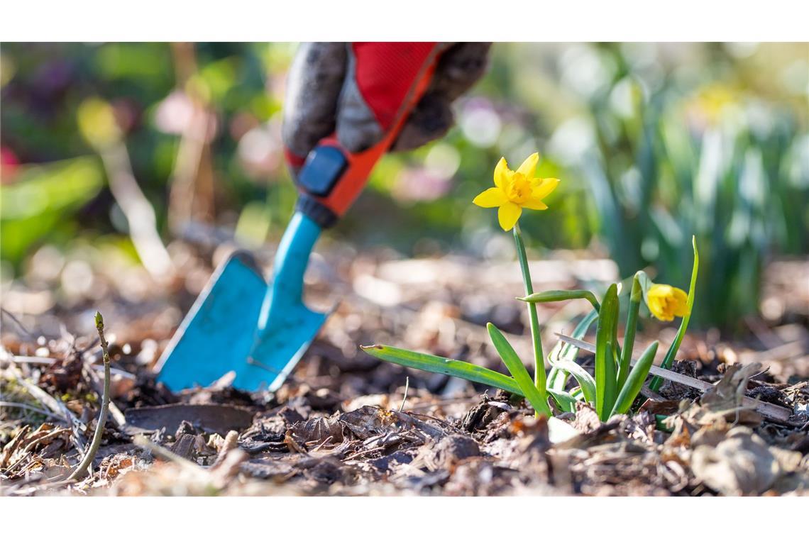 Jetzt ist Zeit für Gartenarbeit. (Symbolbild)